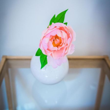 Harmony Hostel 자토르 외부 사진