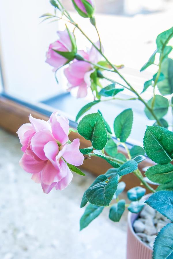 Harmony Hostel 자토르 외부 사진
